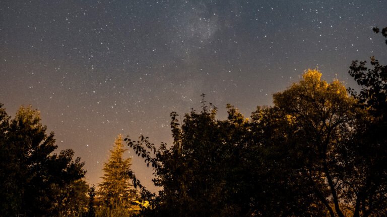 Cielos oscuros y biodiversidad en la Zona 10: El reto de la contaminación lumínica en Envigado