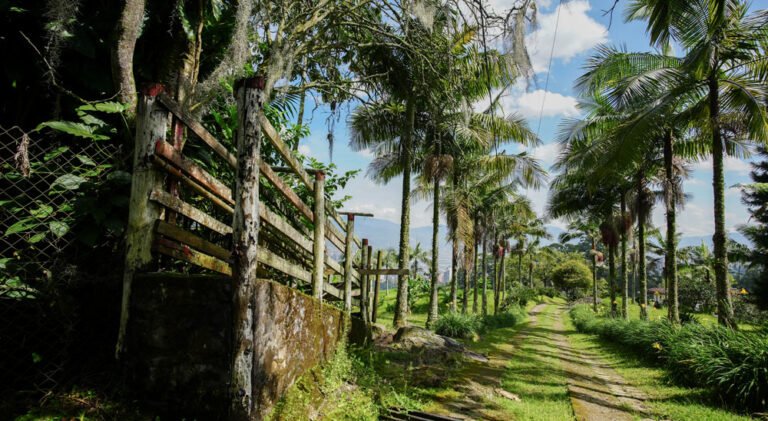 Acueducto Loma El Escobero, patrimonio de las comunidades.