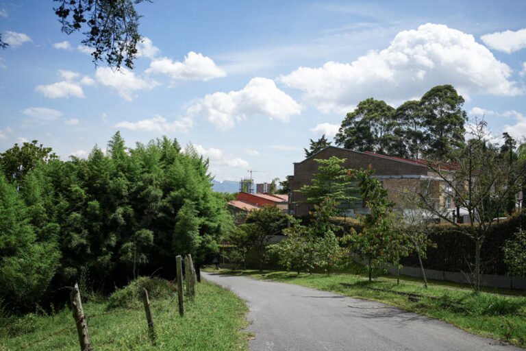Guardianes de la Ayurá: un proyecto de conciencia ambiental en Envigado